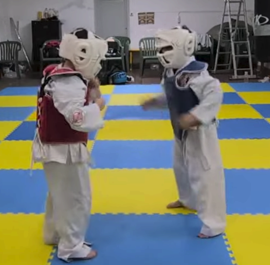 Entrenamiento Kumite Agosto 2026 - Foto 1